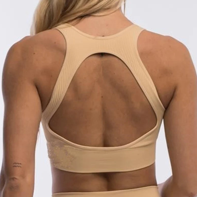 Seamless Backless Sports Bra – Padded Yoga Top